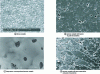 Figure 16 - Different ceramic microstructures at the end of the sintering process