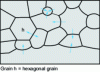 Figure 17 - Grain magnification at the end of sintering by displacement of curved grain boundaries