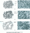Figure 20 - Evolution, during sintering, of the microstructure of YBa2Cu3O7– ceramics obtained from a mixture of Y2BaCuO5 , BaCuO2 and CuO [16]