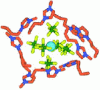 Figure 12 - "Final" snapshot image of the first two solvation spheres of a La3+ cation in [C1C4im]|PF6] obtained by DM (reproduced with permission from [129], copyright RSC 2003).