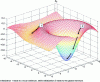 Figure 1 - Example of a two-parameter function (x, y) with several minima