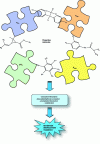 Figure 3 - Processes involved in pesticide retention