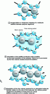 Figure 10 - Additive molecules dispersed in a polymer [35].