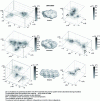 Figure 18 - Residence time mapping in a triacontane matrix with the same density as amorphous high-density polyethylene