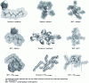 Figure 3 - Illustrations of contact energy minima...