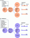 Figure 7 - Application of the process to the case of Olivier, manager of a 12-strong team where dissension reigns and training fails to resolve it.