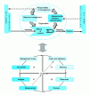 Figure 11 - PDCA dynamics of the process model
