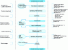 Figure 18 - Example of a flowchart for a hardware rental process