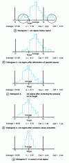 Figure 45 - Six sigma method: the five steps