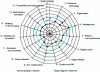 Figure 7 - Formalization of metamodel results