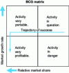 Figure 2 - Business portfolio analysis