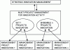 Figure 10 - Multi-project management applied to innovation activities