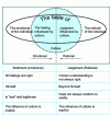 Figure 1 - Systemic model diagram