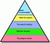 Figure 1 - Maslow pyramid