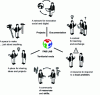 Figure 1 - The fab lab: a place and network of equipment, knowledge and skills for project development (adaptation: pictograms by Laura Pandelle under CC-BY-NC-SA license)