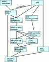 Figure 1 - SICE case study: organization of the relational system