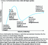 Figure 7 - Gartner Hype Curve