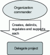 Figure 1 - Link between the sponsoring organization and the delegated project