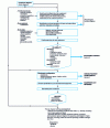 Figure 7 - Process diagram procedure