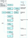 Figure 1 - Standard flow chart for all design phases