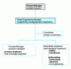 Figure 3 - Typical project engineering organization