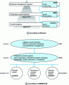 Figure 7 - Three-level company structure