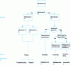 Figure 11 - Different maintenance strategies (NF EN 13306 standard)