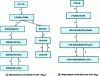 Figure 4 - Extended local diagnostics for both sites