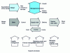 Figure 4 - The company seen through its generic processes