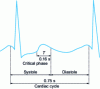 Figure 1 - Cardiac cycle