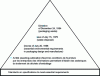 Figure 1 - Example of a text pyramid (hazardous substances)