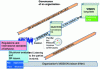 Figure 2 - Governance diagram (source: FD X30-031, AFNOR)