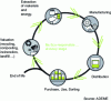 Figure 6 - Representation of "life cycle thinking