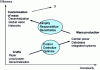 Figure 4 - Impact of management methods on efficiency