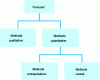 Figure 1 - Diagram of the different types of forecasting methods