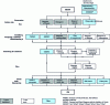 Figure 2 - TQM tools overview