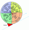 Figure 45 - PDCA wheel and Standard