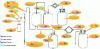 Figure 14 - The supply chain of a blood transfusion kit