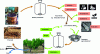 Figure 7 - An example of the use of by-products from the wine industry as part of a circular bioeconomy approach