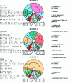 Figure 9 - Principle of drum processing, on a set of 3 carousels – Innokeg KR machines from KHS Till