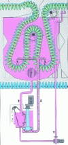 Figure 11 - KD system