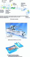 Figure 31 - Thermoforming machines and packaging examples