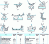 Figure 1 - Various roller coating systems