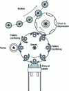 Figure 15 - Labelling with a Krones machine (source: Krones)