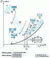 Figure 7 - Zenz diagram