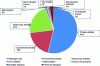 Figure 1 - Breakdown of greenhouse gas emissions from transport in 2016 (mainland France)