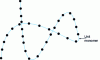 Figure 8 - Linear structure of a finite-dimensional polymer chain