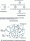 Figure 9 - Example of a polymerization leading to a three-dimensional network from a monomer with valence v = 4