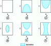 Figure 29 - Possible types of binodal curves