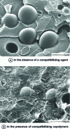 Figure 31 - Scanning electron micrographs of mixtures (BASF plates)